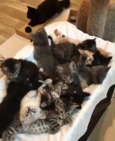 Saw this today for the first time. Hope it’s not a serial repeat.