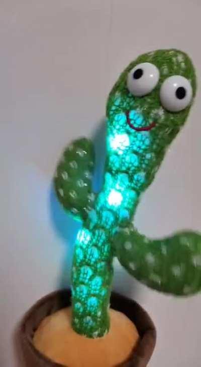 My friend has the Polish cow cactus toy