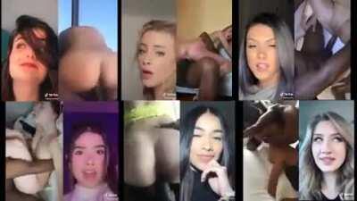 TIK TOK - whitegirls VS. black guys VS. whitebois