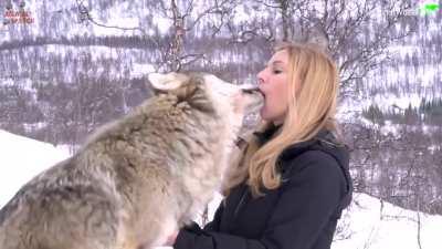 Реклама таблеток против глистов или шёвного материала.