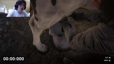 RDR2 Cow Milking Speedrun Any% WR | 2s 350ms