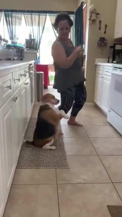 Os amigos do tobia quando resgata a mercadoria de droga aprendida