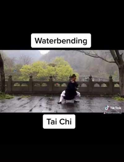 Real Martial Arts that inspired Avatar