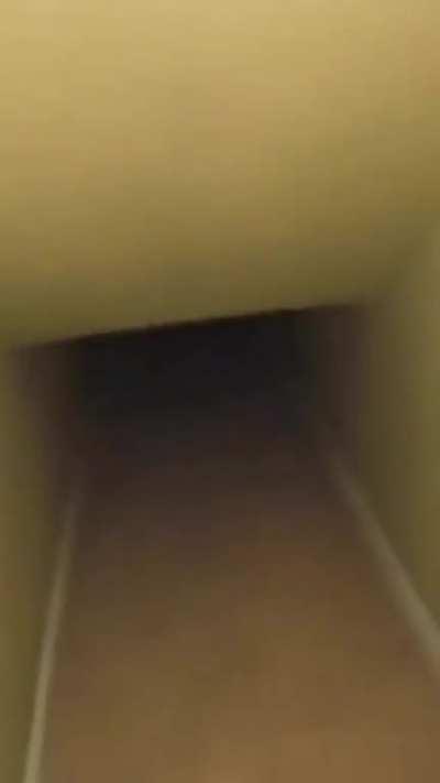 Does anyone know the original video this clip came from? I can't seem to find it.