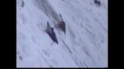 HMB while I kayak down Mt. Everest (maybe)