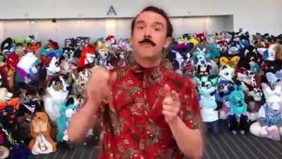 This is what furries need