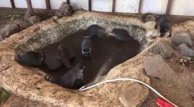 Enjoying a day at the pool