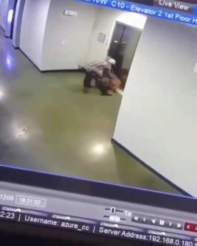 This guy saving this doggo