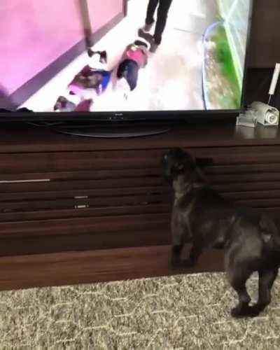 Exercising with his frens!