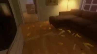 man BRUTALLY murders innocent fruits and vegetables and livestreams it