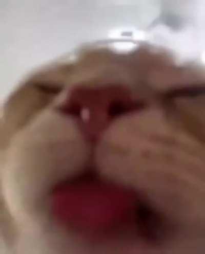 POV Te convertiste en el agua de la pecky