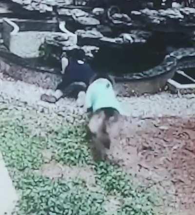 Dog be like: Chill dude, let me