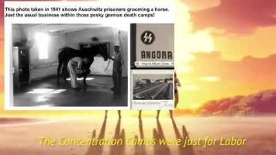 They really shouldn't've hired Nick to translate...