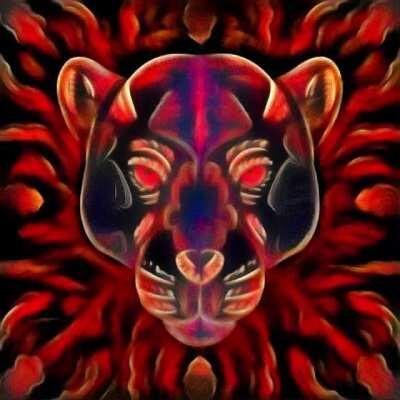 Dreaming of Panthers