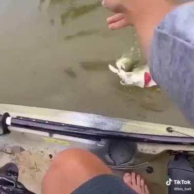 I struggle to get one most days