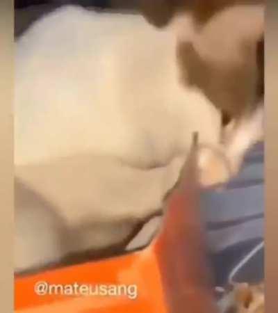 Fine, I'll make my own bed