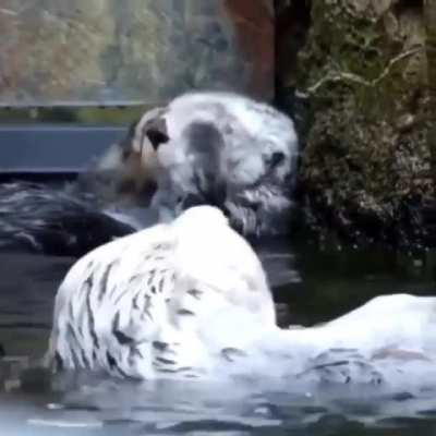 Чистота - залог здоровья