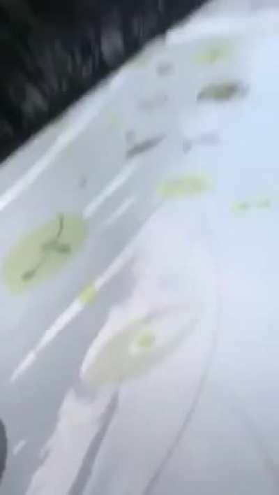 The forbidden technique