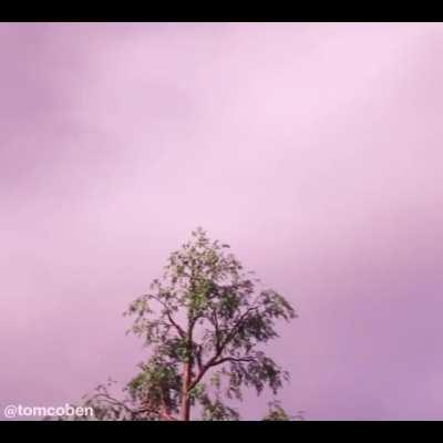 They animated Tirannosaurus in F-14s!!