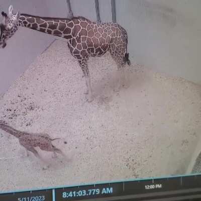 ksjfjsocjp dodoükfneofk kkfkdkmkpootrpm 😂😂😂😂😂😅😅😬😬😁😂🤣😂😛