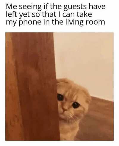 What's taking them so long?