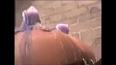 Nipple privilege denied