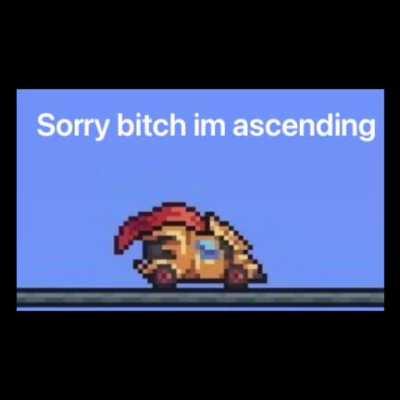 Ok now i have a reason to play calamity mod 24/7