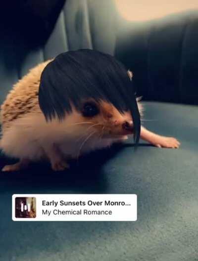 This is Barry, I figured he belonged here.