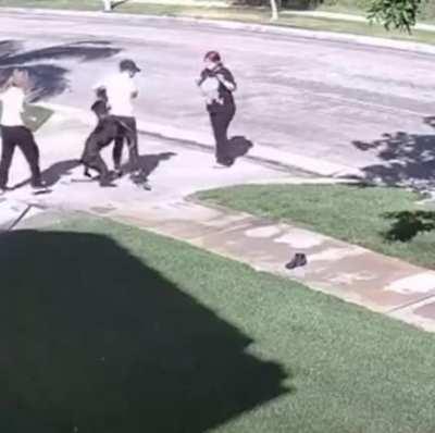 WCGW getting a large breed dog