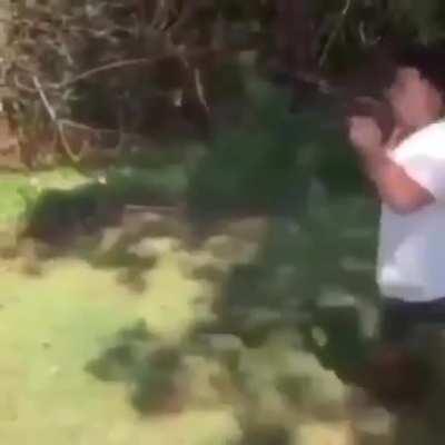 Interesting solution