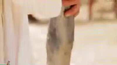 Madness combat 8 IRL (link park to make It better)