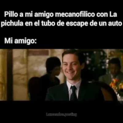 pichula mecanicofilica