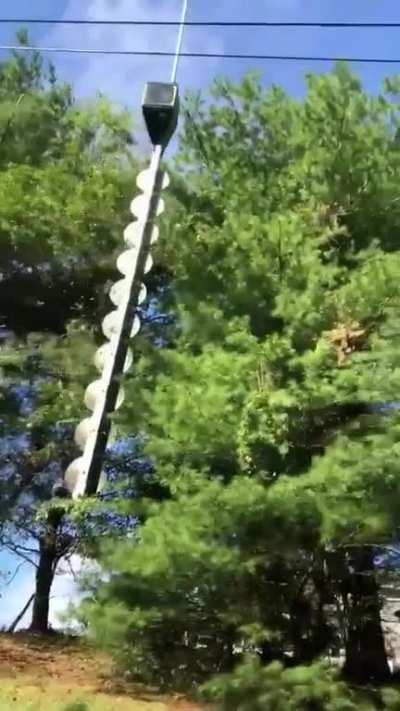 Just chopping branches with the chopper