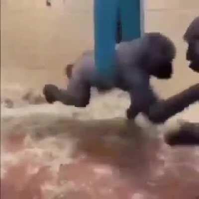 Muca e o ayel enquanto tá na fila