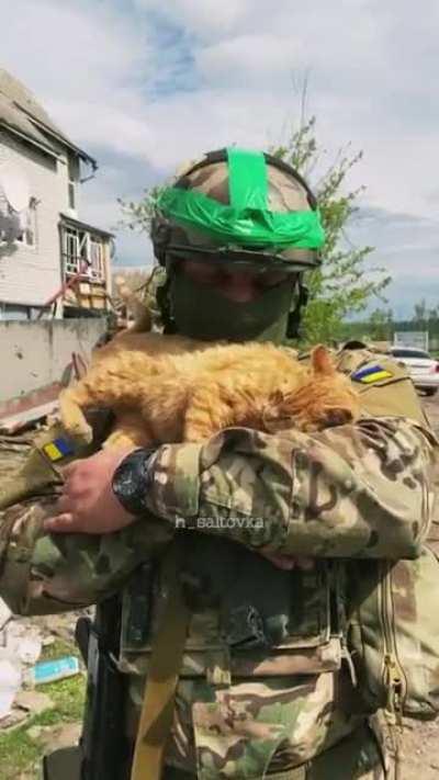 Every life is worth fighting for. This is the difference between the orcs and us. This red-haired miracle was saved by the Ukrainian military near Kharkov, his gratitude knows no bounds ❤🇺🇦