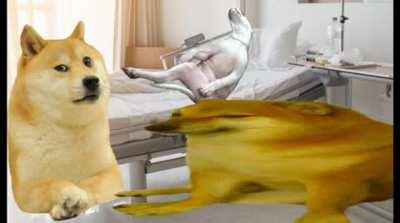 Le Stranger has arrived