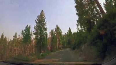 A leery, back road drive through the Sierra Nevadas during fire season. Sierra Nevada Mountain Range. GoPro11