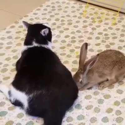 Sign up for massage courses!