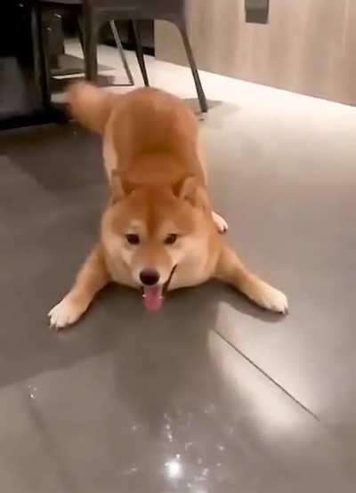 This is motivation to go play