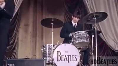 It's Okay To Leave Your Dog In A Hot Car - The Beatles (Actually Billy Cobb)