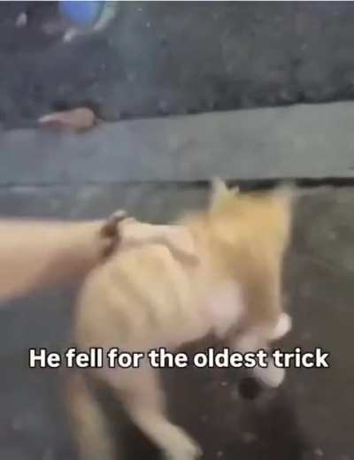 Car too innocent for this worl