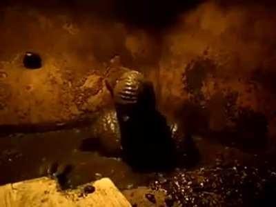 Cursed_Augustus_Gloop