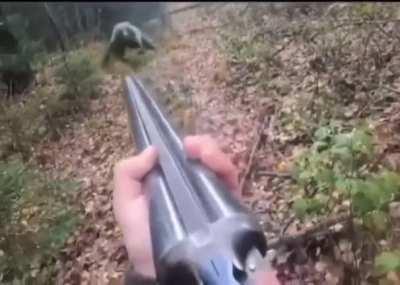 Just a nice, relaxing hunting trip