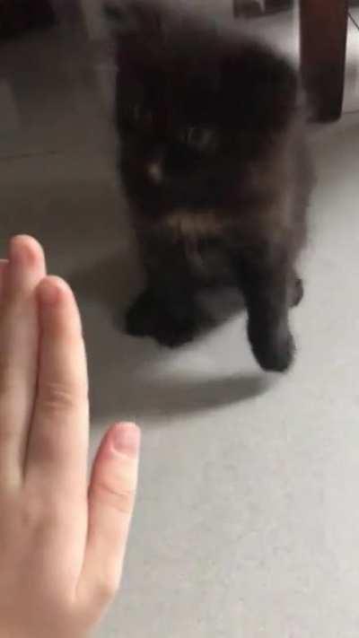 baby hi five:)