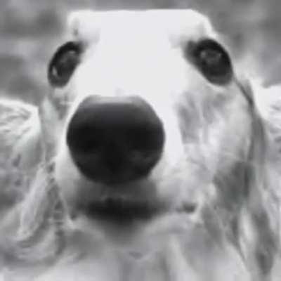 I know it's too low quality but anyway