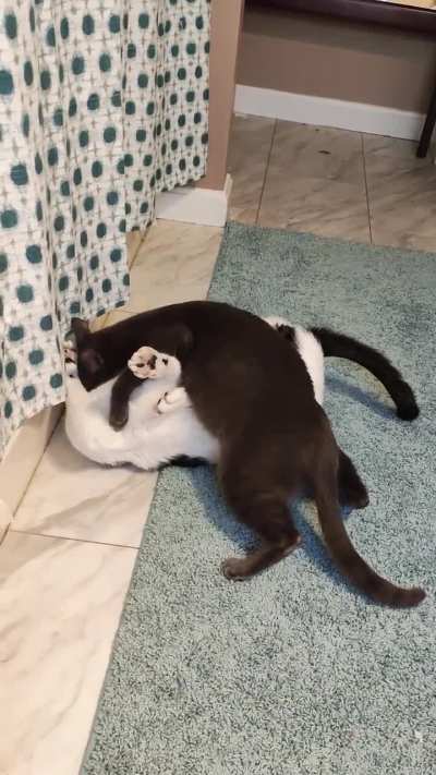 Blue (aka The Bid) always talks jive while trying to overpower Biggie.