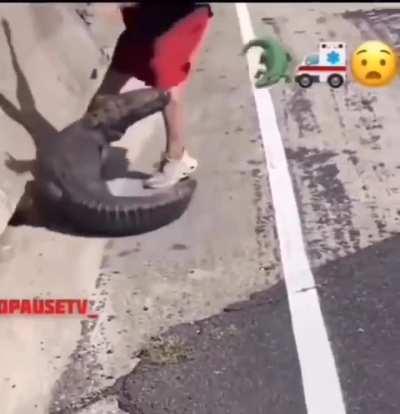 Louisana Gator Whisperer 🐊