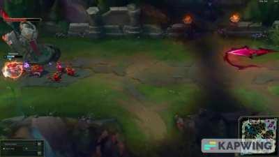 Certified Poppy Moment