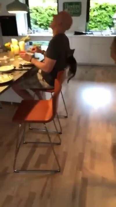 Catculating his plan of attack