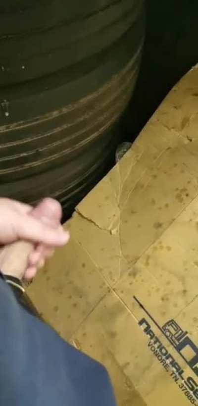 Not sure if this counts as hyperspermia...